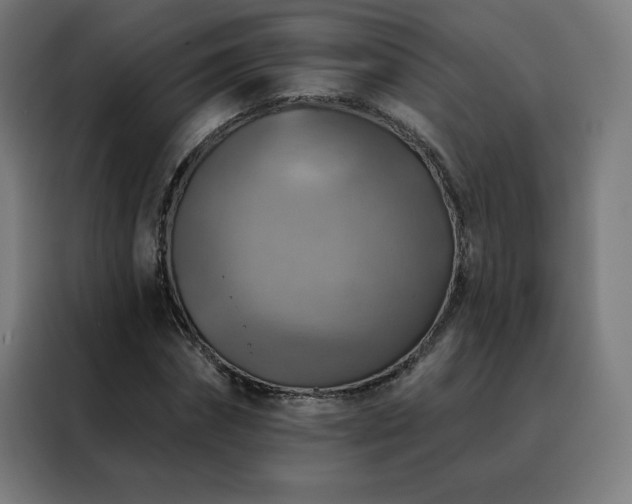 X0000088390874200705221112