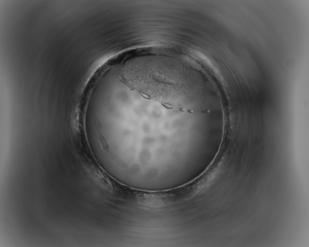 X0000088390875200705221112