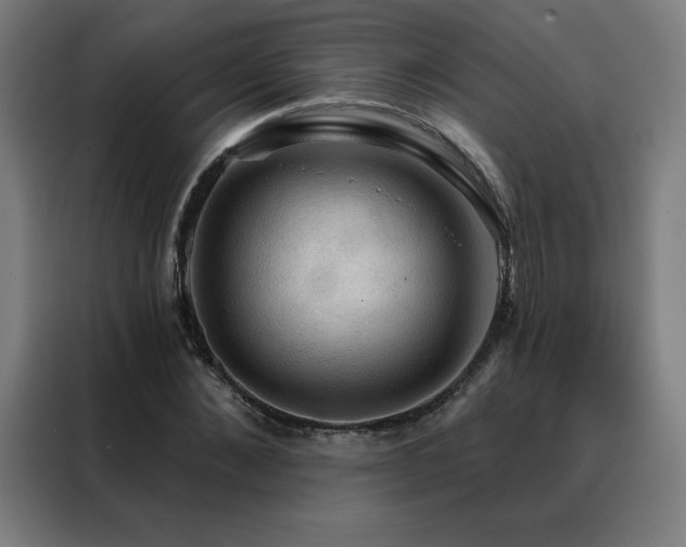 X0000088390876200705221112