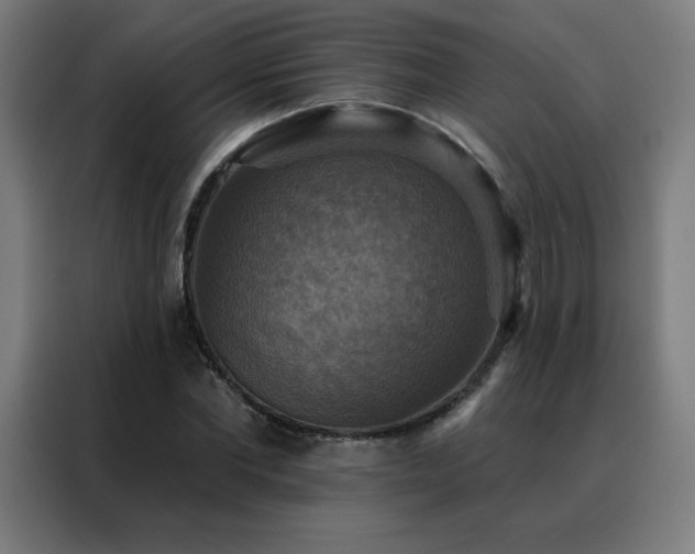 X0000088390877200705221112