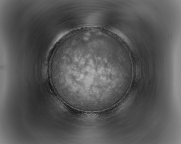 X0000088390878200705221112