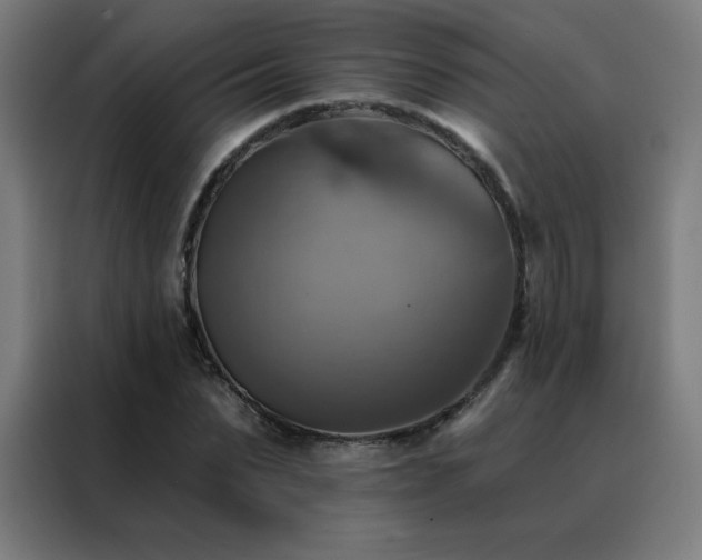 X0000088390879200705221112