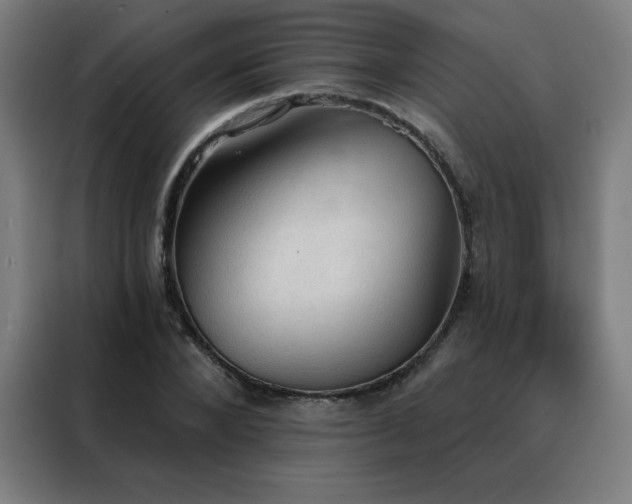 X0000088390880200705221112