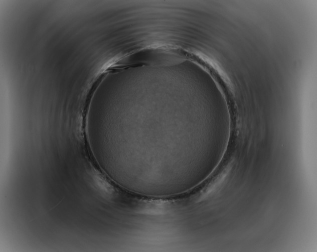 X0000088390881200705221112