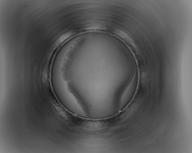 X0000088390882200705221112