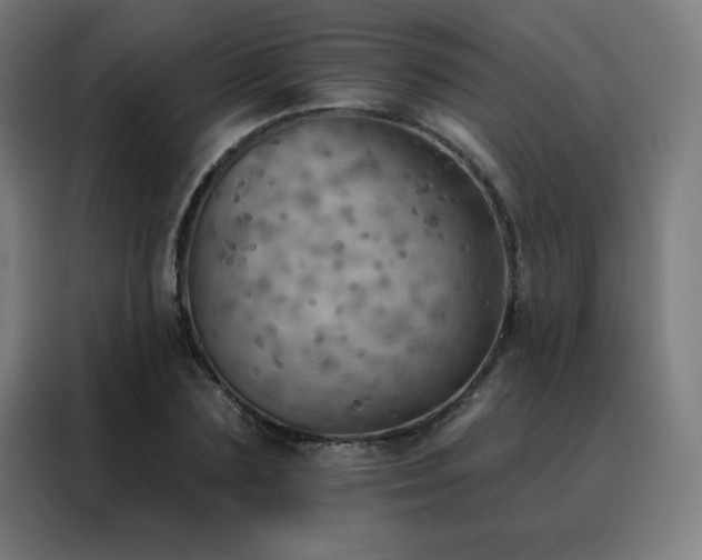 X0000088390883200705221112