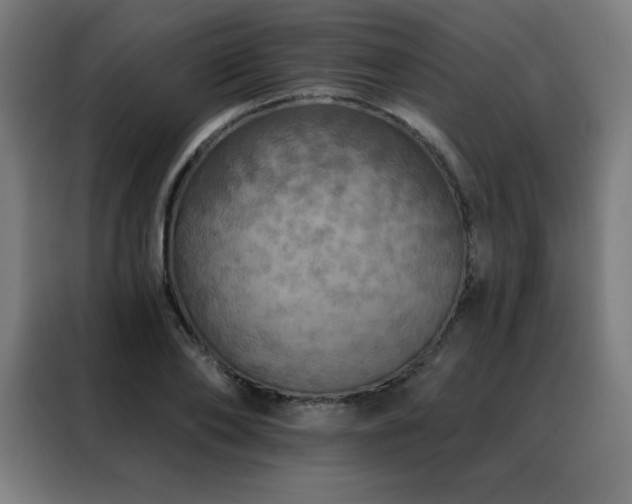 X0000088390886200705221112