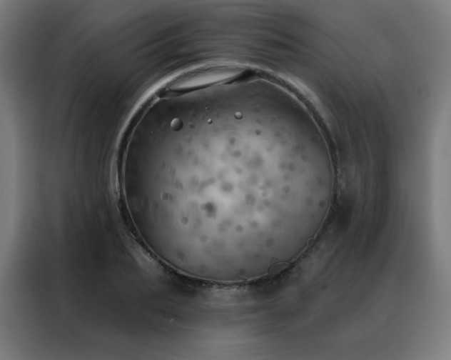 X0000088390887200705221112