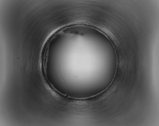 X0000088390888200705221112