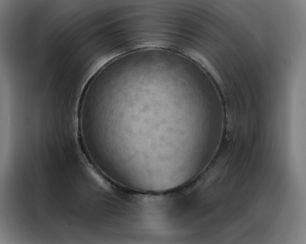 X0000088390890200705221112