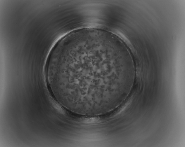 X0000088390891200705221112