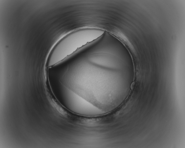 X0000088390892200705221112