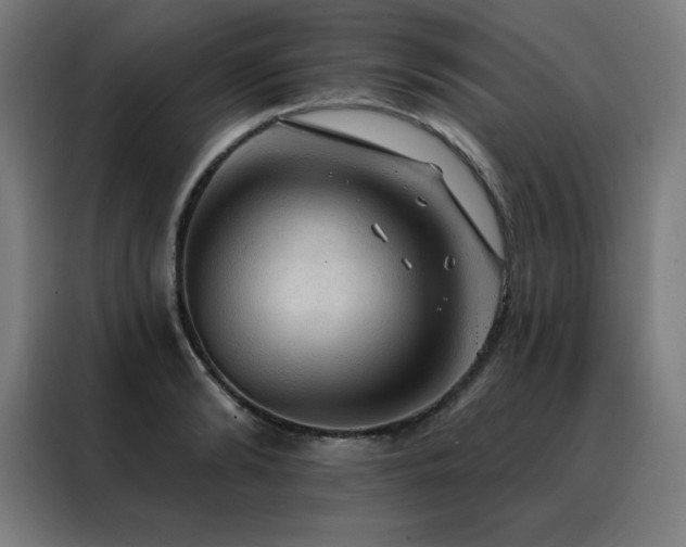 X0000088390894200705221112