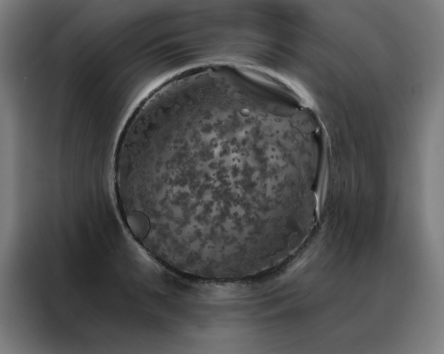 X0000088390895200705221112