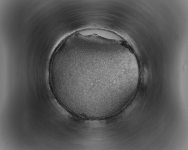 X0000088390896200705221112