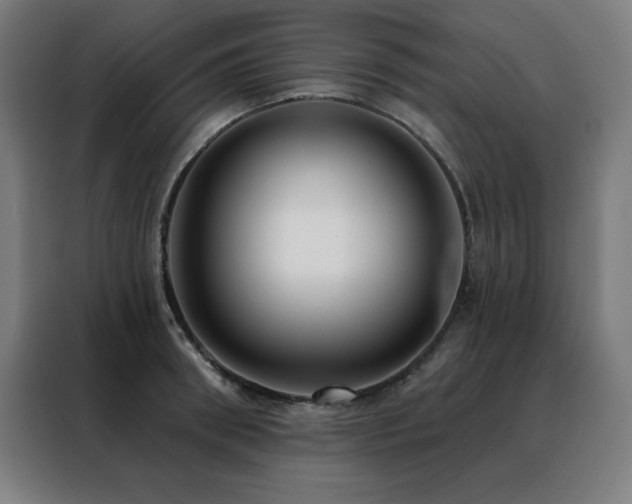 X0000088390898200705221112