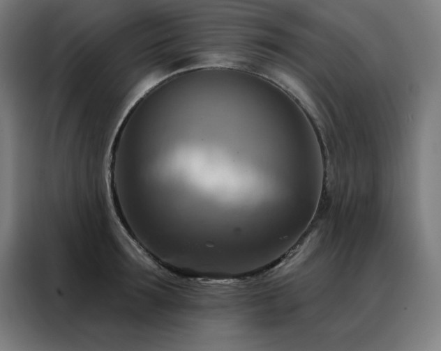 X0000088390899200705221112