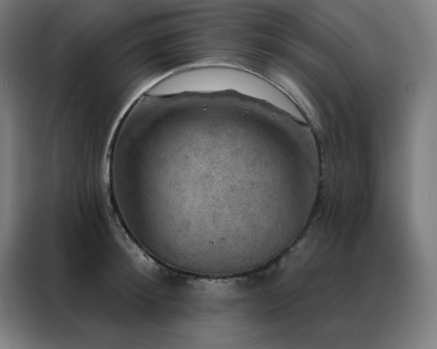 X0000088390900200705221112