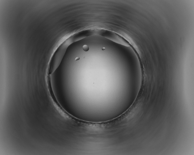 X0000088390901200705221112