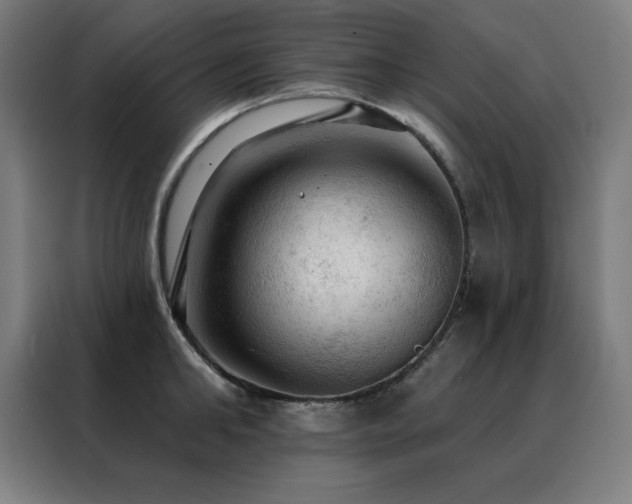 X0000088390902200705221112