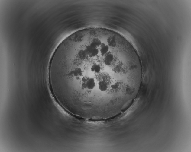 X0000088390903200705221112