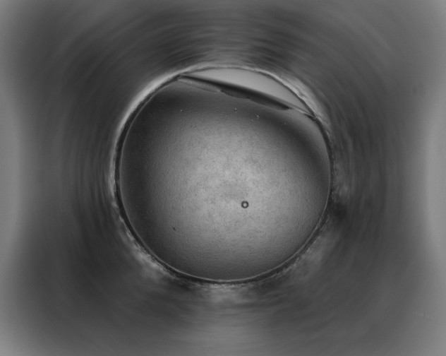 X0000088390904200705221112