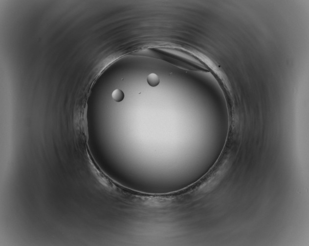 X0000088390905200705221112