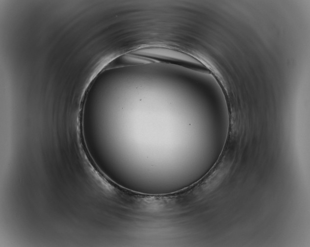 X0000088390906200705221112