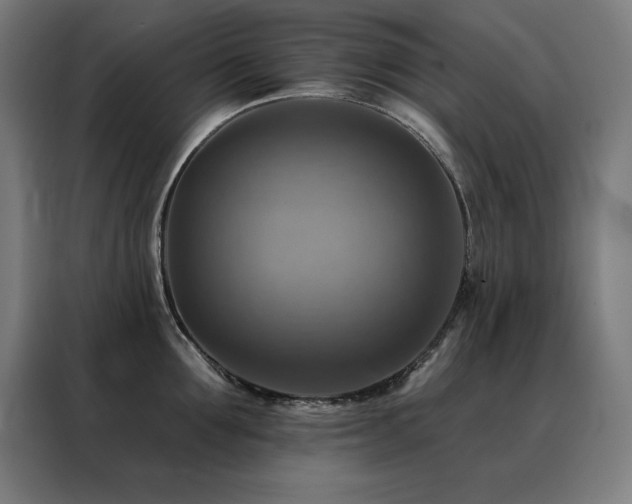 X0000088390907200705221112