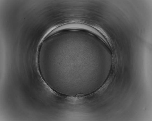 X0000088390910200705221112