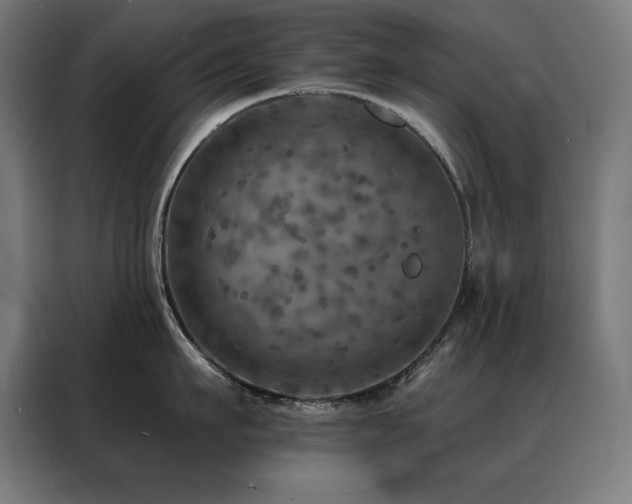 X0000088390911200705221112