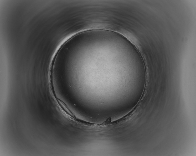 X0000088390912200705221112