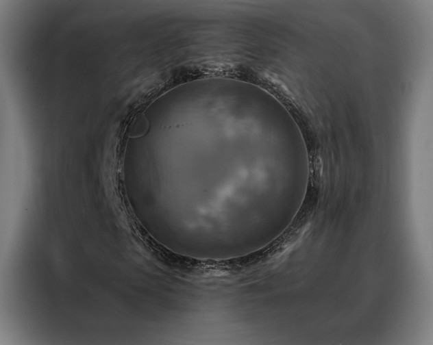 X0000088390913200705221111