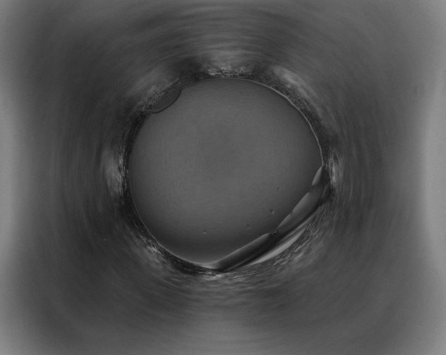 X0000088390915200705221111