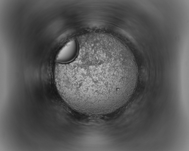 X0000088390918200705221111