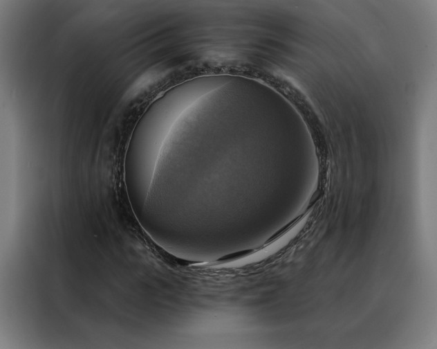 X0000088390919200705221111