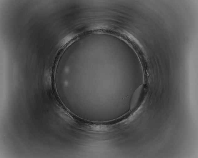 X0000088390921200705221111