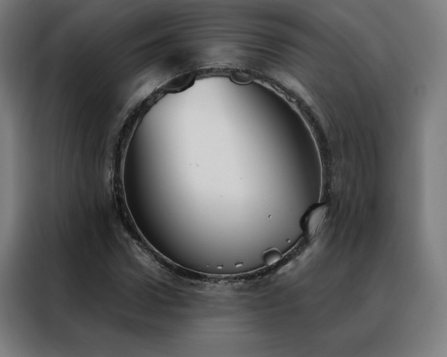 X0000088390922200705221111