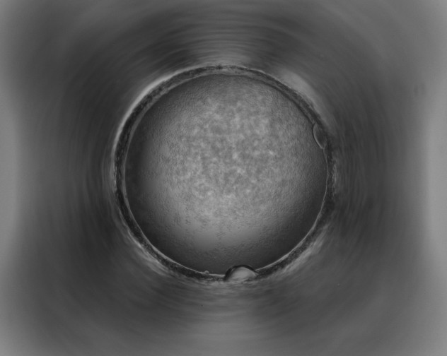 X0000088390924200705221111