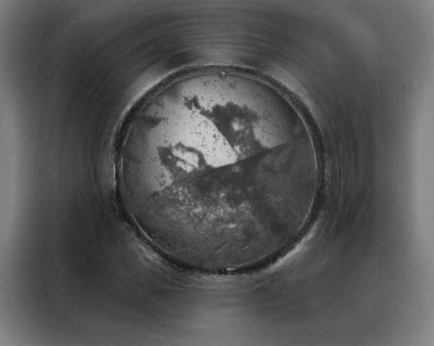 X0000088390925200705221111