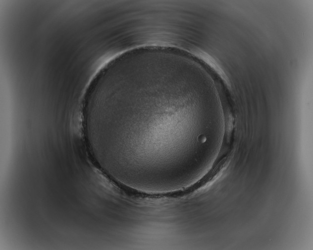 X0000088390926200705221111