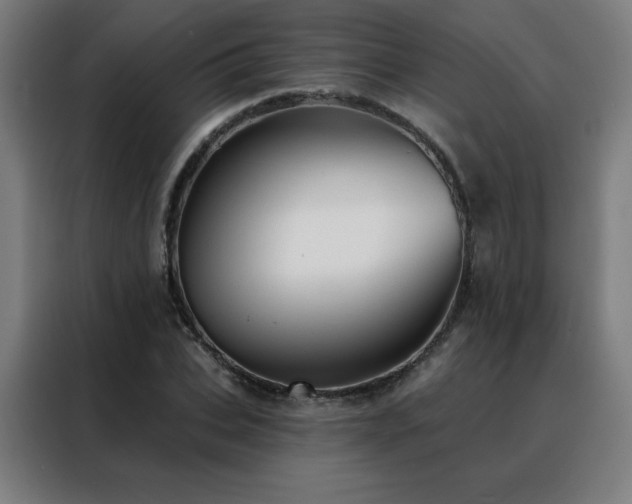 X0000088390927200705221111