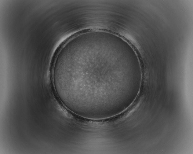 X0000088390928200705221111