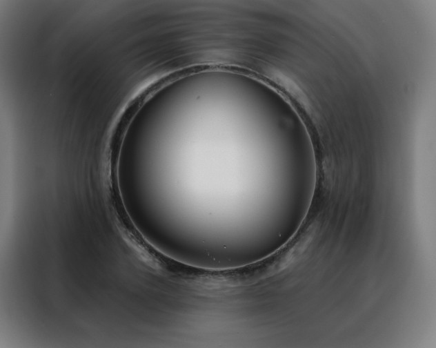 X0000088390931200705221111