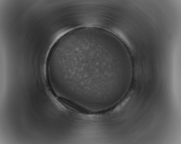 X0000088390932200705221111