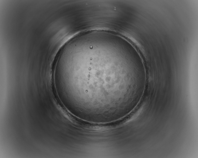 X0000088390933200705221111