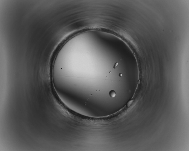 X0000088390934200705221111