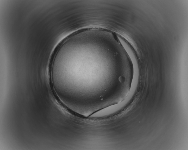 X0000088390936200705221111