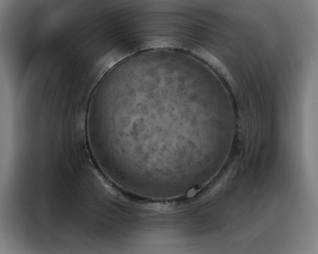 X0000088390937200705221111