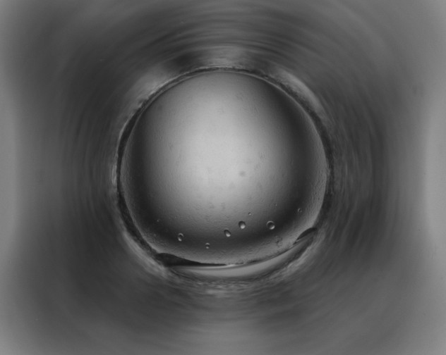 X0000088390938200705221111